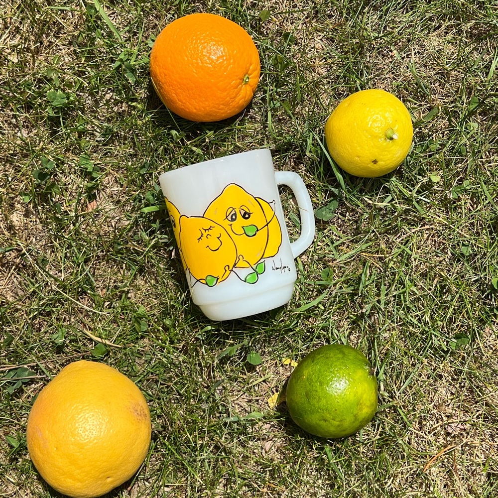 1970’S 🍋 Set of Nancy Lynn Smiling Fruit Collection
